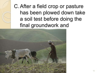 C.After a field crop or pasture
has been plowed down take
a soil test before doing the
final groundwork and
leveling.
12
 