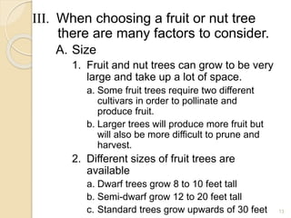 III. When choosing a fruit or nut tree
there are many factors to consider.
A. Size
1. Fruit and nut trees can grow to be very
large and take up a lot of space.
a. Some fruit trees require two different
cultivars in order to pollinate and
produce fruit.
b. Larger trees will produce more fruit but
will also be more difficult to prune and
harvest.
2. Different sizes of fruit trees are
available
a. Dwarf trees grow 8 to 10 feet tall
b. Semi-dwarf grow 12 to 20 feet tall
c. Standard trees grow upwards of 30 feet 13
 