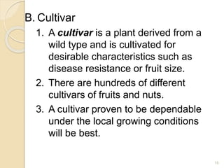 B. Cultivar
1. A cultivar is a plant derived from a
wild type and is cultivated for
desirable characteristics such as
disease resistance or fruit size.
2. There are hundreds of different
cultivars of fruits and nuts.
3. A cultivar proven to be dependable
under the local growing conditions
will be best.
15
 