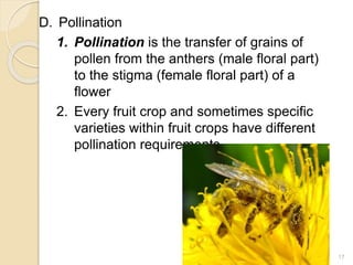 D. Pollination
1. Pollination is the transfer of grains of
pollen from the anthers (male floral part)
to the stigma (female floral part) of a
flower
2. Every fruit crop and sometimes specific
varieties within fruit crops have different
pollination requirements.
17
 