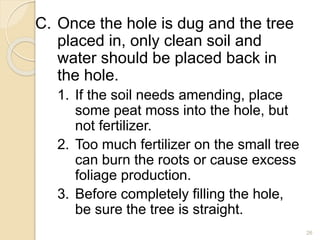 C. Once the hole is dug and the tree
placed in, only clean soil and
water should be placed back in
the hole.
1. If the soil needs amending, place
some peat moss into the hole, but
not fertilizer.
2. Too much fertilizer on the small tree
can burn the roots or cause excess
foliage production.
3. Before completely filling the hole,
be sure the tree is straight.
26
 