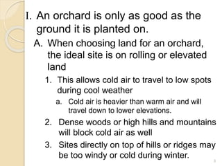 I. An orchard is only as good as the
ground it is planted on.
A. When choosing land for an orchard,
the ideal site is on rolling or elevated
land
1. This allows cold air to travel to low spots
during cool weather
a. Cold air is heavier than warm air and will
travel down to lower elevations.
2. Dense woods or high hills and mountains
will block cold air as well
3. Sites directly on top of hills or ridges may
be too windy or cold during winter. 3
 
