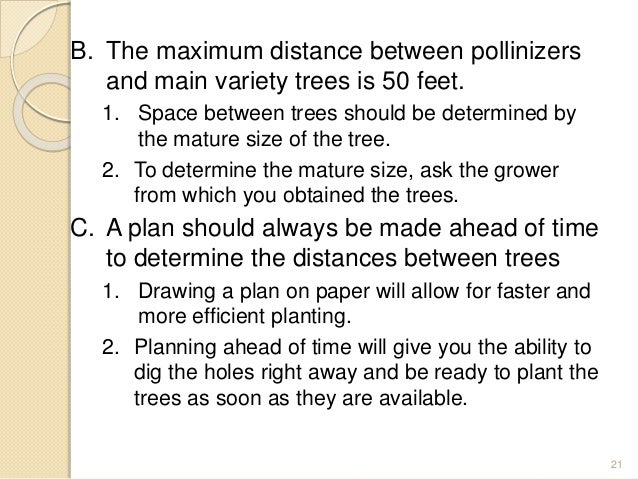 Selecting and Planting Fruit and Nut Trees
