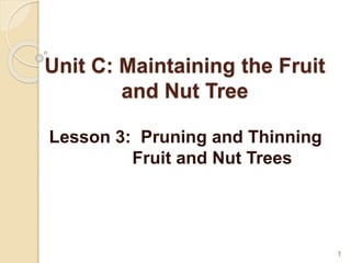 Unit C: Maintaining the Fruit
and Nut Tree
Lesson 3: Pruning and Thinning
Fruit and Nut Trees
1
 