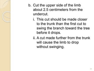b. Cut the upper side of the limb
about 2.5 centimeters from the
undercut.
i. This cut should be made closer
to the trunk than the first cut to
swing the branch toward the tree
before it drops.
ii. A cut made further from the trunk
will cause the limb to drop
without swinging.
25
 