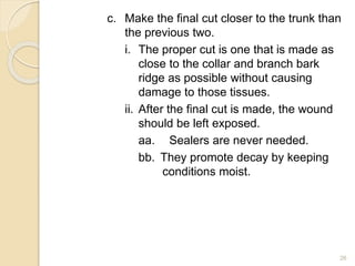 c. Make the final cut closer to the trunk than
the previous two.
i. The proper cut is one that is made as
close to the collar and branch bark
ridge as possible without causing
damage to those tissues.
ii. After the final cut is made, the wound
should be left exposed.
aa. Sealers are never needed.
bb. They promote decay by keeping
conditions moist.
26
 