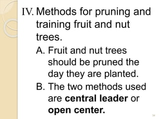 IV. Methods for pruning and
training fruit and nut
trees.
A. Fruit and nut trees
should be pruned the
day they are planted.
B. The two methods used
are central leader or
open center. 34
 