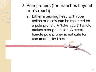 2. Pole pruners (for branches beyond
arm’s reach)
a. Either a pruning head with rope
action or a saw can be mounted on
a pole pruner. A “take apart” handle
makes storage easier. A metal
handle pole pruner is not safe for
use near utility lines.
30
 