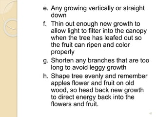 e. Any growing vertically or straight
down
f. Thin out enough new growth to
allow light to filter into the canopy
when the tree has leafed out so
the fruit can ripen and color
properly
g. Shorten any branches that are too
long to avoid leggy growth
h. Shape tree evenly and remember
apples flower and fruit on old
wood, so head back new growth
to direct energy back into the
flowers and fruit.
47
 