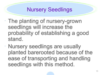 11
Nursery Seedlings
· The planting of nursery-grown
seedlings will increase the
probability of establishing a good
stand.
· Nursery seedlings are usually
planted barerooted because of the
ease of transporting and handling
seedlings with this method.
 