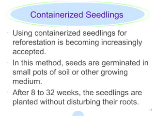 13
Containerized Seedlings
· Using containerized seedlings for
reforestation is becoming increasingly
accepted.
· In this method, seeds are germinated in
small pots of soil or other growing
medium.
· After 8 to 32 weeks, the seedlings are
planted without disturbing their roots.
 