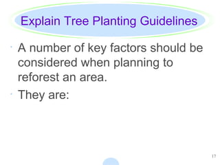 17
Explain Tree Planting Guidelines
· A number of key factors should be
considered when planning to
reforest an area.
· They are:
 