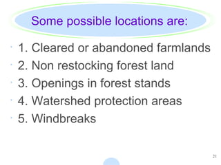 21
Some possible locations are:
· 1. Cleared or abandoned farmlands
· 2. Non restocking forest land
· 3. Openings in forest stands
· 4. Watershed protection areas
· 5. Windbreaks
 