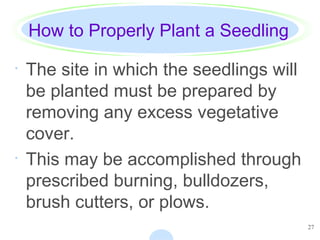 27
How to Properly Plant a Seedling
· The site in which the seedlings will
be planted must be prepared by
removing any excess vegetative
cover.
· This may be accomplished through
prescribed burning, bulldozers,
brush cutters, or plows.
 