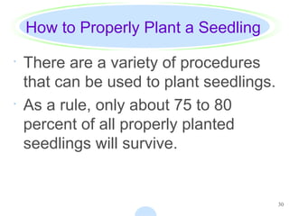 30
How to Properly Plant a Seedling
· There are a variety of procedures
that can be used to plant seedlings.
· As a rule, only about 75 to 80
percent of all properly planted
seedlings will survive.
 