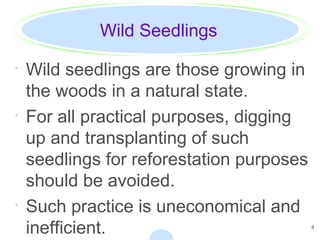 4
Wild Seedlings
· Wild seedlings are those growing in
the woods in a natural state.
· For all practical purposes, digging
up and transplanting of such
seedlings for reforestation purposes
should be avoided.
· Such practice is uneconomical and
inefficient.
 