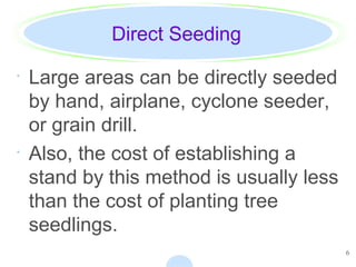 6
Direct Seeding
· Large areas can be directly seeded
by hand, airplane, cyclone seeder,
or grain drill.
· Also, the cost of establishing a
stand by this method is usually less
than the cost of planting tree
seedlings.
 