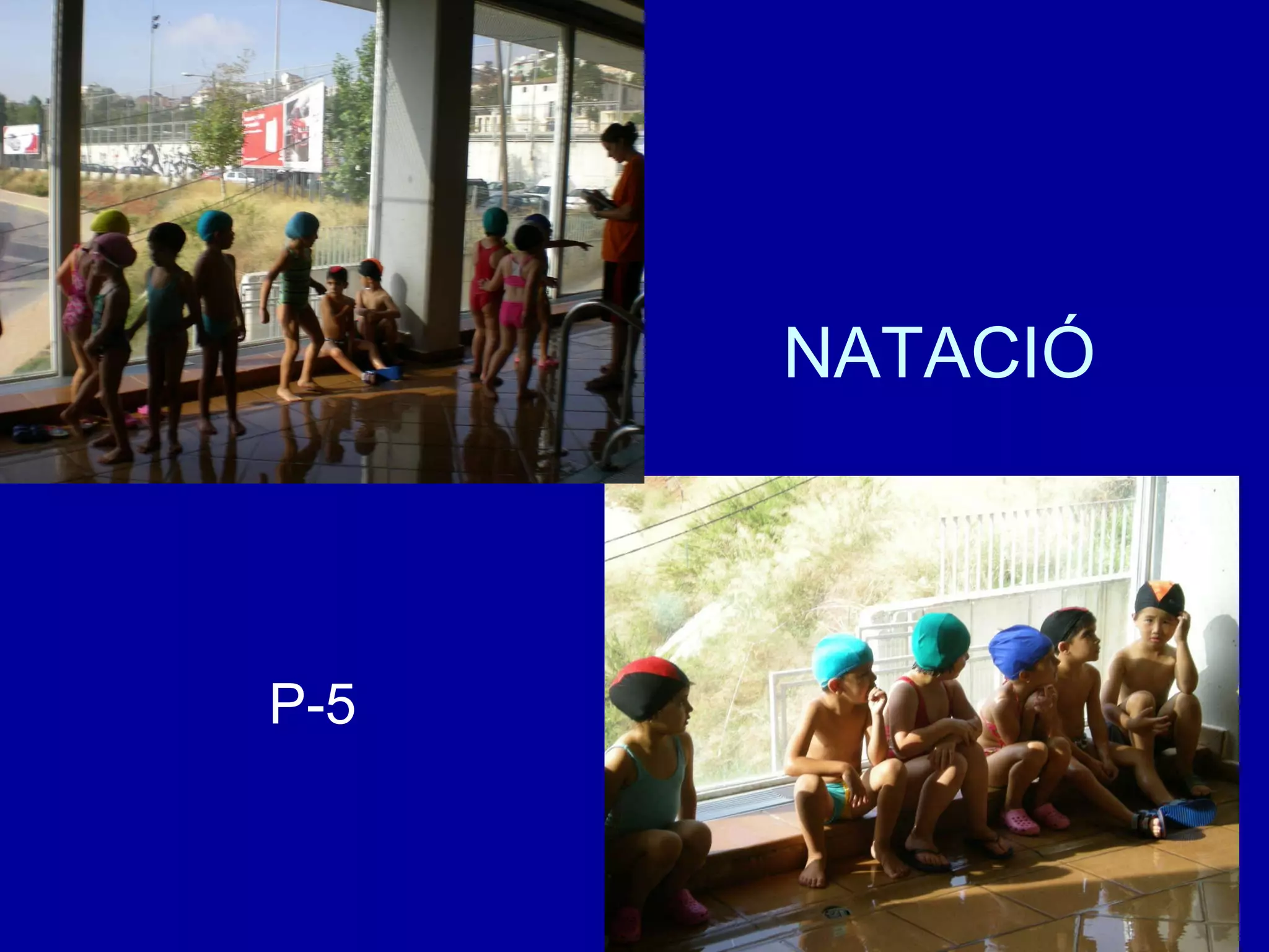 NATACIÓ P-5 