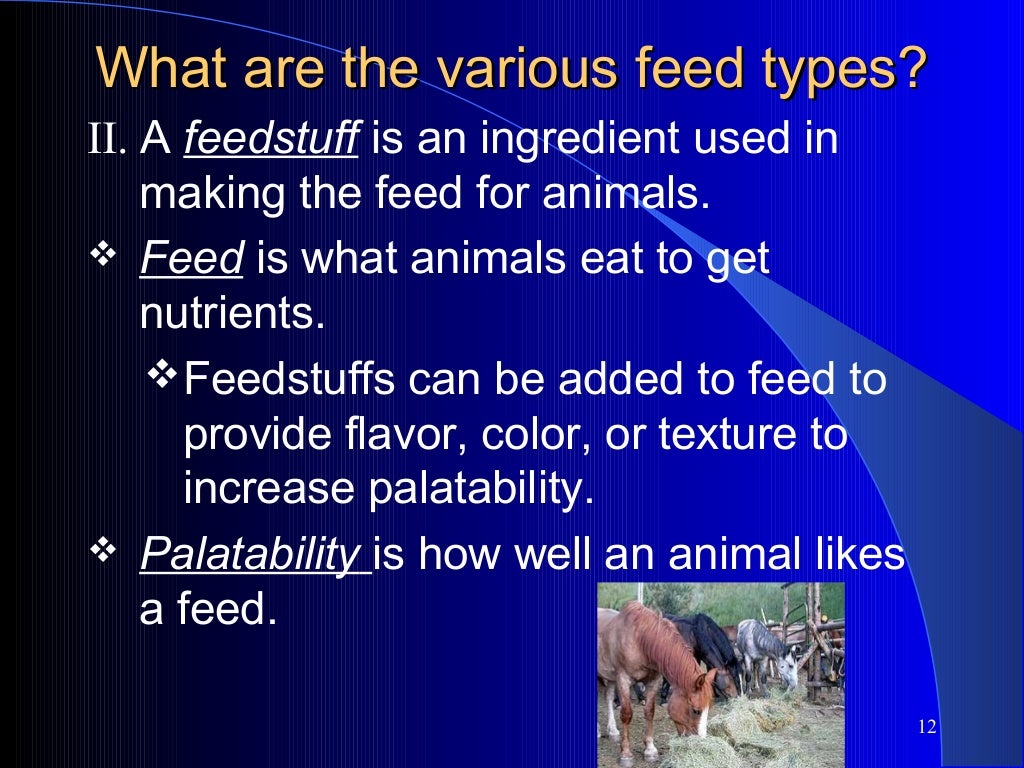 Nutritional Needs of Livestock Animals