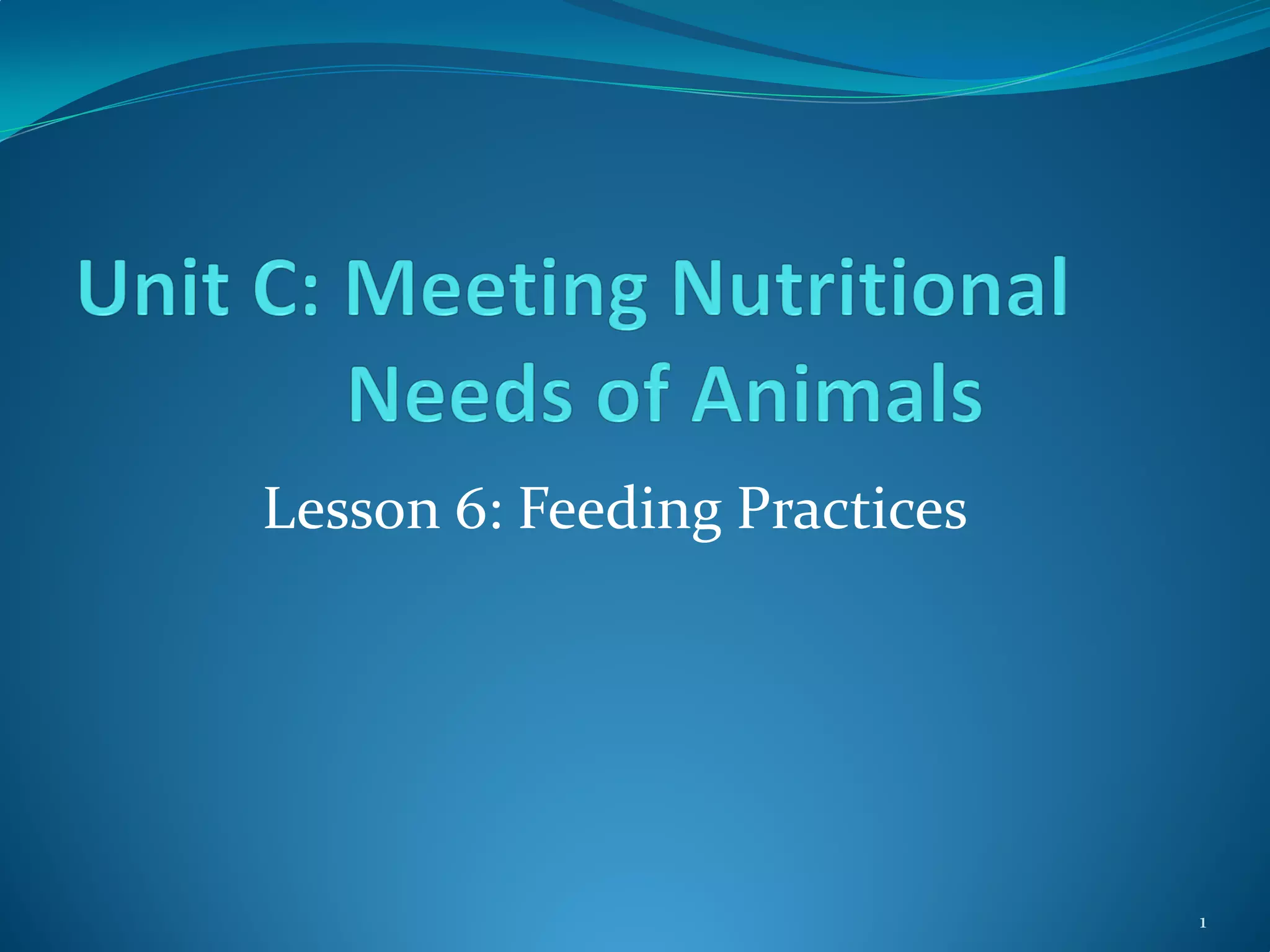 Cattle Feeding Practices PPT