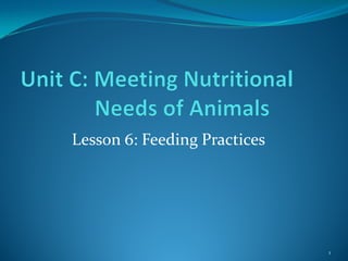 Lesson 6: Feeding Practices
1
 