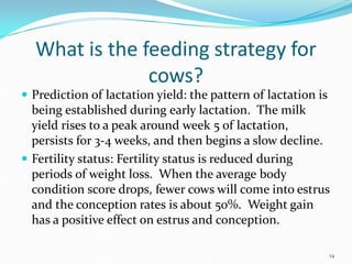 What is the feeding strategy for
cows?
 Prediction of lactation yield: the pattern of lactation is
being established during early lactation. The milk
yield rises to a peak around week 5 of lactation,
persists for 3-4 weeks, and then begins a slow decline.
 Fertility status: Fertility status is reduced during
periods of weight loss. When the average body
condition score drops, fewer cows will come into estrus
and the conception rates is about 50%. Weight gain
has a positive effect on estrus and conception.
14
 