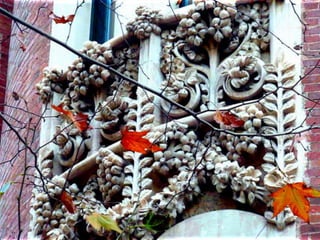 18 de noviembre de 2011   47
 