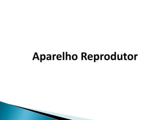 APARELHO REPRODUTOR Aparelho Reprodutor  