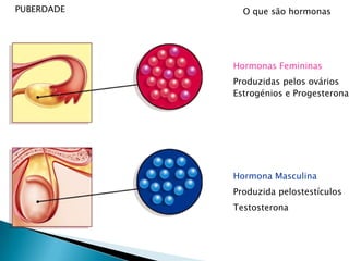 PUBERDADEIdadeRaparigasRapazesInício	11 - 12	10 - 11Duração	3 - 4	4 - 6