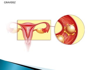  Pelos axilares e púbicos