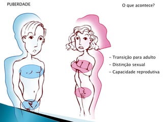 PUBERDADEO que acontece? Transição para adulto