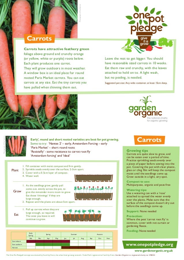 Carrots Organic Growing Guides for Teachers + Students