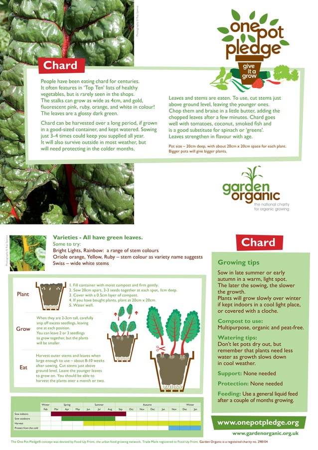 Chard - Organic Growing Guides for Teachers + Students | PDF