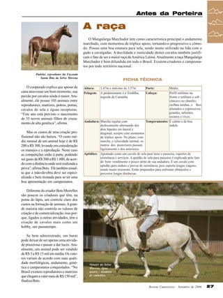 Antes da Porteira

A raça
O Mangalarga Marchador tem como característica principal o andamento
marchado, com momentos de tríplice apoio, tornando-o progressivo e cômodo. Possui uma boa estatura para sela, sendo muito utilizado na lida com o
gado e cavalgadas. A docilidade e rusticidade destes cavalos também justificam o fato de ser a maior raça da América Latina. Atualmente a raça Mangalarga
Marchador é bem difundida em todo o Brasil. Existem criadores e campeonatos por todo território nacional.
Padrão, reprodutor da Fazenda
Santa Rita da Selva Morena

FICHA TÉCNICA

O cooperado explica que apesar da
cana atravessar um bom momento, sua
paixão por cavalos ainda é maior. Atualmente, ele possui 105 animais entre
reprodutores, matrizes, potros, potras,
cavalos de sela e éguas receptoras.
“Este ano está previsto o nascimento
de 35 novos animais filhos de cruzamento de alta genética”, afirma.
Mas os custos de uma criação profissional não são baixos. “O custo médio mensal de um animal hoje é de R$
200 a R$ 300, levando em consideração
os manejos e a reprodução. Neste caso
as competições estão à parte, podendo
ser gasto de R$ 300 a R$ 1.000, de acordo com a distância onde será realizada a
prova”, afirma Beto. Ele também ressalta que a mão-de-obra deve ser especializada e bem treinada para se ter uma
boa apresentação em campeonatos.
Diferente do criador Beto Meirelles
são poucos os criadores que têm, na
ponta do lápis, um controle claro dos
custos na formação de animais. A grande maioria não controla os valores de
criação e de comercialização, isso porque, ligados a outras atividades, têm a
criação de cavalos mais como um
hobby, um passatempo.
Se bem administrado, um haras
pode deixar de ser apenas uma atividade prazerosa e passar a dar lucro. Atualmente, um animal pode ser vendido
de R$ 3 a R$ 15 mil em média. Os valores variam de acordo com suas qualidade morfológicas, andamento, genética e campeonatos conquistados. “No
Brasil existem reprodutores e matrizes
que chegam a valer mais de R$ 150 mil”,
finaliza Beto.

Vanuiri da Selva
Morena, égua
matriz - doadora
de embriões.

Revista Canavieiros - Setembro de 2006

27

 