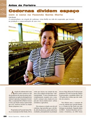 Antes da Porteira

Codornas dividem espaço
com a cana na Fazenda Santa Maria
Carla Rossini

A coturnicultura, ou criação de codornas, virou hobby na vida da cooperada, que investe
na produção e comercialização de seus ovos

Silvia segura uma
das pequenas aves
de sua criação

A

criação de codornas não é uma
prática muito comum na vida
dos produtores de cana-de-açúcar, principalmente na região de abrangência do
sistema Copercana, Canaoeste e Cocred.
Mas, a cooperada Silvia Maria Consoni
Crosta, que desde criança é apaixonada
por aves, resolveu investir na criação
dessas pequenas aves.
Proprietária da Fazenda Santa Maria, no município de São Simão, Silvia
26

Revista Canavieiros - Outubro de 2006

conta que iniciou sua criação há oito
anos, com o objetivo de dar mais “vida”
à propriedade. “Como a fazenda estava
completamente ocupada com a cana,
resolvi começar uma criação de aves
para dar vida às minhas terras”, afirma
sorridente a agricultora.
Ela começou a criação com três mil
codornas, logo percebeu que a atividade, além de prazerosa, podia render bons
resultados, principalmente na produção

de ovos. Hoje, Silvia cria 25 mil aves que
produzem 10,5 mil ovos por dia. Depois
de processados, a produção diária é de
150 quilos dos ovinhos que são vendidos em conserva.
Nos últimos anos, o consumo de
ovos de codorna tem crescido bastante, e o Estado de São Paulo tem sido
destaque na produção. Segundo dados
do IBGE – Instituto Brasileiro de Economia e Estatística, em 2002 foram

 