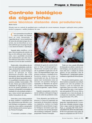Pragas e Doenças

Controle biológico
da cigarrinha:
uma técnica distante dos produtores
Marino Guerra

Elevado custo no controle de qualidade para a realização do correto manuseio, dosagem e aplicação torna a prática
inviável a pequenos e médios produtores de cana

C

om a permanência da palha de
cana no campo, em conseqüência ao corte mecanizado, a
‘cigarrinha-da-raiz’ vem se transformando numa das principais pragas dos canaviais, isso em decorrência ao excelente ambiente que essa praga tem para
o seu desenvolvimento e reprodução.

Foto: divulgação Biocontrol

Segundo dados científicos, o nível
para o início de práticas de controle é de
duas ou três ninfas por metro linear de
sulco, caso a quantidade encontrada
pelo monitoramento seja entre cinco a
oito ninfas por metro linear, o local já se
encontra no nível de dano econômico.
Desde então, várias práticas de controle vêm sendo implantadas, tendo destaque, em decorrência de seu menor custo, a utilização do controle biológico
através da aplicação do fungo
Metarhizium anisopliae. Mas o bom
desempenho dessa prática depende de
uma série de fatores que podem interferir na qualidade do produto como: temperatura, umidade, luminosidade e PH
do solo. Fatores que acabam levando a
viabilidade do fungo apenas se a compra for em grande quantidade ou se o
consumo corresponda à necessidade de
instalação de uma produção própria, o
que a torna inviável para pequenos e
médios fornecedores de cana.

nibilidade do agente de controle biológico (o fungo entomopatogênico Matahrizium anisopliae) para aplicação na qualidade exigida para sua eficácia. Tal disponibilidade exigiu, num
primeiro momento, a instalação de laboratórios próprios das usinas ou
terceirizados por elas, de forma que
apenas mais recentemente existe um
mercado com produtos biológicos
registrados no Ministério da Agricultura, Pecuária e Abastecimento para o
controle da cigarrinha”, explica Thomaz.

Outro fator, como a baixa produção
do fungo, também é considerado uma
das características que dificulta o controle biológico em pequenos e médios
canaviais, como explica o pesquisador
do IEA (Instituto de Economia Agrícola), Thomaz Fronzaglia.

“Uma alternativa que facilita esse
processo é a busca da cooperação nas
associações de fornecedores regionais
ou cooperativas, inclusive na criação
de laboratórios que produzam os agentes biológicos necessários para manter os canaviais com um bom desempenho econômico e ambiental”, finaliza o
pesquisador Thomaz Fronzaglia.

“É necessário considerar a dispo-

Segundo o pesquisador, a única forma de viabilizar a utilização do fungo é
através da união dos produtores rurais.

Tendo em vista a grande dificuldade
do fornecedor em utilizar o modo de controle biológico, uma das práticas mais comuns entre eles é a adoção do controle
químico, em que inseticidas a base de
Thiametrhoxam e Imidacloprid também
combatem a cigarrinha de forma eficiente.
No caso do controle químico, o produtor também acompanha uma redução
gradativa do valor dos produtos em
relação à volta da infestação das
cigarrinhas. Para se ter idéia, os inseticidas específicos para o caso registraram uma queda de 50% no seu valor se
comparado com o início da década. Já
a redução dos inseticidas e defensivos
em geral foi entre 15% e 20%.
Outra maneira de proteção contra o
ataque das ‘cigarrinhas-da-raiz’ é a escolha de uma variedade resistente à praga.
Entre o mapa varietal do Estado de São
Paulo, as variedades RB 72454, SP 813250, RB 855536, SP 80-1842, RB 835486 e
SP 80-1816 apresentam maior índice de
ataque se comparada com a SP 79-1011.
Revista Canavieiros - Outubro de 2006

31

 