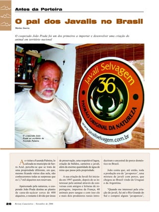 Antes da Porteira

O pai dos Javalis no Brasil
Marino Guerra

O cooperado João Prada foi um dos primeiros a importar e desenvolver uma criação do
animal em território nacional

O cooperado João
Prada no escritório da
Fazenda Palmira

A

o visitar a Fazenda Palmira, lo
calizada no município de Serra Azul, percebe-se que se trata de
uma propriedade diferente, em que,
mesmo ficando vários dias nela, não
conheceremos todas as surpresas que
os 1,7 mil alqueires nos reservam.
Apaixonado pela natureza, o cooperado João Prada destina ao plantio
de cana-de-açúcar cerca de 400
alqueires, o restante é divido por áreas
26

Revista Canavieiros - Novembro de 2006

de preservação, uma respeitável lagoa,
criação de búfalos, carneiros e javali,
além da enorme quantidade de água de
mina que passa pela propriedade.
A sua criação de Javali foi iniciada em 1997 quando, depois de se interessar pelo animal através de conversas com amigos e leituras de reportagens, importou da França, 40
animais puro sangue e com isso ele
e mais dois produtores rurais intro-

duziram o ancestral do porco doméstico no Brasil.
João conta que, até então, toda
a produção era de ‘javaporco’, uma
mistura de javali com porco, que
chegou ao Brasil vindo do Uruguai
e da Argentina.
“Quando me interessei pela criação do javali, fui até o Rio Grande do
Sul e comprei alguns ‘javaporcos’,

 