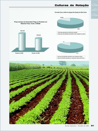 Culturas de Rotação

Revista Canavieiros - Novembro de 2006

31

 