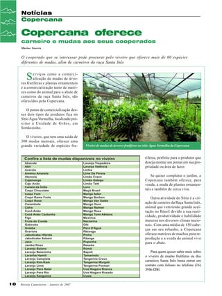 Notícias
Copercana

Copercana oferece
carneiro e mudas aos seus cooperados
Marino Guerra

O cooperado que se interessar pode procurar pelo viveiro que oferece mais de 60 espécies
diferentes de mudas, além de carneiros da raça Santa Inês

S

erviços como a comercialização de mudas de árvores frutíferas e plantas ornamentais
e a comercialização tanto de matrizes como do animal para o abate de
carneiros da raça Santa Inês, são
oferecidos pela Copercana.
O ponto de comercialização desses dois tipos de produtos fica no
Sítio Água Vermelha, localizado próximo à Unidade de Grãos, em
Sertãozinho.
O viveiro, que tem uma saída de
300 mudas mensais, oferece uma
grande variedade de espécies fru-

Viveiro de mudas de árvores frutíferas no sítio Àgua Vermelha da Copercana

tíferas, perfeito para o produtor que
deseja montar um pomar em sua propriedade ou área de lazer.
Se quiser completar o jardim, a
Copercana também oferece, para
venda, a muda de plantas ornamentais e também de cerca viva.
Outra atividade do Sítio é a criação de carneiro da Raça Santa Inês,
animal que vem tendo grande aceitação no Brasil devido a sua rusticidade, produtividade e habilidade
materna nos diversos climas nacionais. Com uma média de 150 cabeças em seu rebanho, a Copercana
oferece matrizes de machos para reprodução e a venda do animal vivo
para o abate.
Para quem quiser saber mais sobre
o viveiro de mudas frutíferas ou dos
carneiros Santa Inês basta entrar em
contato com Juliano no telefone (16)
3946 4200.

10

Revista Canavieiros - Janeiro de 2007

 
