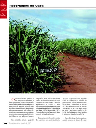 Reportagem de Capa

RAIO-X DAS
VARIEDADES
DE CANA

Cristiane Barão

O

desenvolvimento genético é
uma necessidade para todo o
meio agropecuário, e com a cana-de-açúcar não poderia ser diferente. Os principais centros de pesquisa iniciaram suas
atividades para combater doenças que
afetavam os canaviais, hoje o leque de
objetivos se estendeu, porém, todos se
resumem na conquista do ganho de produtividade, ou seja, açúcar por hectare.
Para se ter idéia de tudo o que já foi
20

Revista Canavieiros - Janeiro de 2007

conquistado, desde 1995, os três maiores
centros de desenvolvimento de novas
variedades de cana (o IAC – Instituto
Agronômico, a Ridesa – Rede
Interinstitucional para o Desenvolvimento do Setor Sucroalcooleiro, e a Copersucar,
que desde 2005 é denominado CTC –
Centro de Tecnologia Canavieira), já lançaram 82 variedades diferentes.

em todas as épocas da safra. Segundo
dados da Copersucar, o aumento no
pol% da cana colhida durante os meses de maio e junho entre os anos de
88 a 90 comparando com os anos de
2001 a 2003 foi de 2,6%. Já nos meses
de julho a setembro o ganho foi de
4,5%. No final da safra, entre outubro
e novembro, o ganho foi de 2,4%.

Esse aumento no leque de variedades ocasionou um ganho qualitativo

Outro fato da evolução ocasionada pelo aumento no número de varie-

 