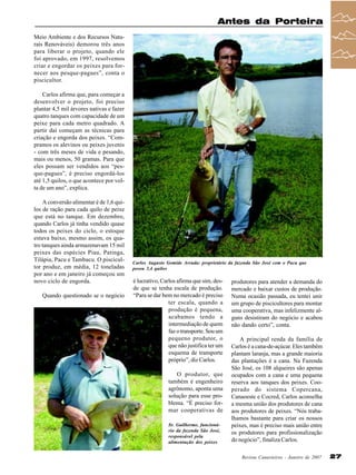 Antes da Porteira
Meio Ambiente e dos Recursos Naturais Renováveis) demorou três anos
para liberar o projeto, quando ele
foi aprovado, em 1997, resolvemos
criar e engordar os peixes para fornecer aos pesque-pagues”, conta o
piscicultor.
Carlos afirma que, para começar a
desenvolver o projeto, foi preciso
plantar 4,5 mil árvores nativas e fazer
quatro tanques com capacidade de um
peixe para cada metro quadrado. A
partir daí começam as técnicas para
criação e engorda dos peixes. “Compramos os alevinos ou peixes juvenis
- com três meses de vida e pesando,
mais ou menos, 50 gramas. Para que
eles possam ser vendidos aos “pesque-pagues”, é preciso engordá-los
até 1,5 quilos, o que acontece por volta de um ano”, explica.
A conversão alimentar é de 1,6 quilos de ração para cada quilo de peixe
que está no tanque. Em dezembro,
quando Carlos já tinha vendido quase
todos os peixes do ciclo, o estoque
estava baixo, mesmo assim, os quatro tanques ainda armazenavam 15 mil
peixes das espécies Piau, Patinga,
Tilápia, Pacu e Tambacu. O piscicultor produz, em média, 12 toneladas
por ano e em janeiro já começou um
novo ciclo de engorda.
Quando questionado se o negócio

Iberê Rodrigues Fernandes; Vicente Rodrigues Fernandes e
Jairo Rodrigues
Fernandes: proprietários do sítio e da fábrica de Açúcar
Mascavo do Capoteiro

Carlos Augusto Gomide Arruda: proprietário da fazenda São José com o Pacu que
pesou 3,4 quilos

é lucrativo, Carlos afirma que sim, desde que se tenha escala de produção.
“Para se dar bem no mercado é preciso
ter escala, quando a
produção é pequena,
acabamos tendo a
intermediação de quem
faz o transporte. Sou um
pequeno produtor, o
que não justifica ter um
esquema de transporte
próprio”, diz Carlos.
O produtor, que
também é engenheiro
agrônomo, aponta uma
solução para esse problema. “É preciso formar cooperativas de
Sr. Guilherme, funcionário da fazenda São José,
responsável pela
alimentação dos peixes

produtores para atender a demanda do
mercado e baixar custos de produção.
Numa ocasião passada, eu tentei unir
um grupo de piscicultores para montar
uma cooperativa, mas infelizmente alguns desistiram do negócio e acabou
não dando certo”, conta.
A principal renda da família de
Carlos é a cana-de-açúcar. Eles também
plantam laranja, mas a grande maioria
das plantações é a cana. Na Fazenda
São José, os 108 alqueires são apenas
ocupados com a cana e uma pequena
reserva aos tanques dos peixes. Cooperado do sistema Copercana,
Canaoeste e Cocred, Carlos aconselha
a mesma união dos produtores de cana
aos produtores de peixes. “Nós trabalhamos bastante para criar os nossos
peixes, mas é preciso mais união entre
os produtores para profissionalização
do negócio”, finaliza Carlos.
Revista Canavieiros - Janeiro de 2007

27

 