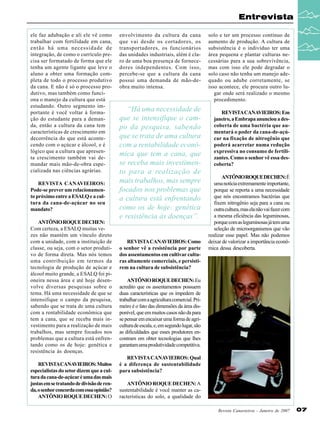 Entrevista
ele faz adubação e ali ele vê como
trabalhar com fertilidade em cana,
então há uma necessidade de
integração, de como o currículo precisa ser formatado de forma que ele
tenha um agente ligante que leve o
aluno a obter uma formação completa de todo o processo produtivo
da cana. E não é só o processo produtivo, mas também como funciona o manejo da cultura que está
estudando. Outro segmento importante é você voltar à formação do estudante para a demanda, então a cultura da cana tem
características de crescimento em
decorrência do que está acontecendo com o açúcar e álcool, e é
lógico que a cultura que apresenta crescimento também vai demandar mais mão-de-obra especializada nas ciências agrárias.
REVISTA CANAVIEIROS:
Pode-se prever um relacionamento próximo entre a ESALQ e a cultura da cana-de-açúcar no seu
mandato?
ANTÔNIO ROQUE DECHEN:
Com certeza, a ESALQ muitas vezes não mantém um vínculo direto
com a unidade, com a instituição de
classe, ou seja, com o setor produtivo de forma direta. Mas nós temos
uma contribuição em termos da
tecnologia de produção de açúcar e
álcool muito grande, a ESALQ foi pioneira nessa área e até hoje desenvolve diversas pesquisas sobre o
tema. Há uma necessidade de que se
intensifique o campo da pesquisa,
sabendo que se trata de uma cultura
com a rentabilidade econômica que
tem a cana, que se receba mais investimento para a realização de mais
trabalhos, mas sempre focados nos
problemas que a cultura está enfrentando como os de hoje: genética e
resistência às doenças.
REVISTACANAVIEIROS: Muitos
especialistas do setor dizem que a cultura da cana-de-açúcar é uma das mais
justas em se tratando de divisão de renda, o senhor concorda com essa opinião?
ANTÔNIO ROQUE DECHEN: O

envolvimento da cultura da cana
que vai desde os cortadores, os
transportadores, os funcionários
das unidades industriais, além é claro de uma boa presença de fornecedores independentes. Com isso,
percebe-se que a cultura da cana
possui uma demanda de mão-deobra muito intensa.

“Há uma necessidade de
que se intensifique o campo da pesquisa, sabendo
que se trata de uma cultura
com a rentabilidade econômica que tem a cana, que
se receba mais investimento para a realização de
mais trabalhos, mas sempre
focados nos problemas que
a cultura está enfrentando
como os de hoje: genética
e resistência às doenças”.

REVISTA CANAVIEIROS: Como
o senhor vê a resistência por parte
dos assentamentos em cultivar culturas altamente comerciais, e persistirem na cultura de subsistência?

solo e ter um processo contínuo de
aumento de produção. A cultura de
subsistência é o indivíduo ter uma
área pequena e plantar culturas necessárias para a sua sobrevivência,
mas com isso ele pode degradar o
solo caso não tenha um manejo adequado ou adube corretamente, se
isso acontece, ele procura outro lugar onde será realizado o mesmo
procedimento.
REVISTA CANAVIEIROS: Em
janeiro, a Embrapa anunciou a descoberta de uma bactéria que aumentará o poder da cana-de-açúcar na fixação de nitrogênio que
poderá acarretar numa redução
expressiva no consumo de fertilizantes. Como o senhor vê essa descoberta?
ANTÔNIO ROQUE DECHEN: É
uma notícia extremamente importante,
porque se reporta a uma necessidade
que nós encontramos bactérias que
fixem nitrogênio seja para a cana ou
outra cultura, mas ela não vai fazer com
a mesma eficiência das leguminosas,
porque com as leguminosas já tem uma
seleção de microorganismos que vão
realizar esse papel. Mas não podemos
deixar de valorizar a importância econômica dessa descoberta.

ANTÔNIO ROQUE DECHEN: Eu
acredito que os assentamentos possuem
duas características que os impedem de
trabalhar com a agricultura comercial. Primeiro é o fato das dimensões da área disponível, que em muitos casos não da para
se pensar em encaixar uma forma de agricultura de escala, e, em segundo lugar, são
as dificuldades que esses produtores encontram em obter tecnologias que lhes
garantam uma produtividade competitiva.
REVISTA CANAVIEIROS: Qual
é a diferença de sustentabilidade
para subsistência?
ANTÔNIO ROQUE DECHEN: A
sustentabilidade é você manter as características do solo, a qualidade do
Revista Canavieiros - Janeiro de 2007

07

 