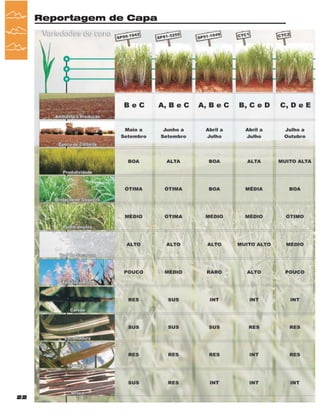 Reportagem de Capa

22

Revista Canavieiros - Fevereiro de 2007

 