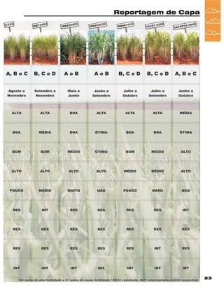 Reportagem de Capa

Revista Canavieiros - Fevereiro de 2007

23

 