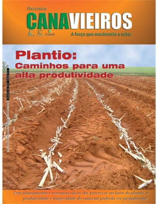Revista Canavieiros - Fevereiro de 2007

 