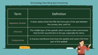 Term Definition
Aqueous humor
A clear, watery fluid that fills the front part of the eye between
the cornea, lens, and iris.
Choroid
The middle layer of the eyeball, which contains veins and arteries
that furnish nourishment to the eye, especially the retina.
Conjunctiva
A mucous membrane that lines the eyelids and covers the front
part of the eyeball.
Terminology Describing Eye Functioning
 