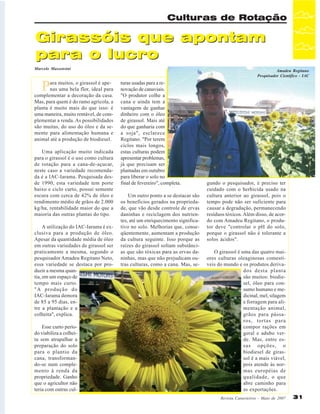 Culturas de Rotação

Girassóis que apontam
para o lucro
Marcelo Massensini

P

ara muitos, o girassol é apenas uma bela flor, ideal para
complementar a decoração da casa.
Mas, para quem é do ramo agrícola, a
planta é muito mais do que isso: é
uma maneira, muito rentável, de complementar a renda. As possibilidades
são muitas, do uso do óleo e da semente para alimentação humana e
animal até a produção de biodiesel.
Uma aplicação muito indicada
para o girassol é o uso como cultura
de rotação para a cana-de-açucar,
neste caso a variedade recomendada é a IAC-Iarama. Pesquisada desde 1990, esta variedade tem porte
baixo e ciclo curto, possui semente
escura com cerca de 42% de óleo e
rendimento médio de grãos de 2.000
kg/ha, rentabilidade maior do que a
maioria das outras plantas do tipo.
A utilização do IAC-Iarama é exclusiva para a produção de óleo.
Apesar da quantidade média de óleo
em outras variedades de girassol ser
praticamente a mesma, segundo o
pesquisador Amadeu Regitano Neto,
essa variedade se destaca por produzir a mesma quantia, em um espaço de
tempo mais curto.
"A produção do
IAC-Iarama demora
de 85 a 95 dias, entre a plantação e a
colheita", explica.
Esse curto período viabiliza a colheita sem atrapalhar a
preparação do solo
para o plantio da
cana, transformando-se num complemento à renda da
propriedade. Ganho
que o agricultor não
teria com outras cul-

Amadeu Regitano
Pesquisador Científico - IAC

turas usadas para a renovação de canaviais.
"O produtor colhe a
cana e ainda tem a
vantagem de ganhar
dinheiro com o óleo
de girassol. Mais até
do que ganharia com
a soja", esclarece
Regitano. "Por terem
ciclos mais longos,
estas culturas podem
apresentar problemas,
já que precisam ser
plantadas em outubro
para liberar o solo no
final de fevereiro", completa.
Um outro ponto a se destacar são
os benefícios gerados na propriedade, que vão desde controle de ervas
daninhas e reciclagem dos nutrientes, até um enriquecimento significativo no solo. Melhorias que, conseqüentemente, aumentam a produção
da cultura seguinte. Isso porque as
raízes do girassol soltam substâncias que são tóxicas para as ervas daninhas, mas que não prejudicam outras culturas, como a cana. Mas, se-

gundo o pesquisador, é preciso ter
cuidado com o herbicida usado na
cultura anterior ao girassol, pois o
tempo pode não ser suficiente para
causar a degradação, permanecendo
resíduos tóxicos. Além disso, de acordo com Amadeu Regitano, o produtor deve "controlar o pH do solo,
porque o girassol não é tolerante a
solos ácidos".
O girassol é uma das quatro maiores culturas oleaginosas comestíveis do mundo e os produtos derivados desta planta
são muitos: biodiesel, óleo para consumo humano e medicinal, mel, silagem
e forragem para alimentação animal,
grãos para pássaros, tortas para
compor rações em
geral e adubo verde. Mas, entre essas opções, o
biodiesel de girassol é a mais viável,
pois atende às normas européias de
qualidade, o que
abre caminho para
as exportações.
Revista Canavieiros - Maio de 2007

31

 