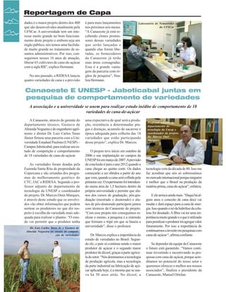 Reportagem de Capa
dades é o maior projeto dentro dos 400
que são desenvolvidos atualmente pela
UFSCar. A universidade tem um interesse muito grande no bom funcionamento deste projeto e embora seja um
órgão público, nós temos uma facilidade muito grande no tratamento de assuntos administrativos. Por isso, conseguimos nesses 16 anos de atuação,
liberar 65 cultivares de cana-de-açúcar
com a sigla RB”, explica Hermann.
No ano passado, a RIDESA lançou
quatro variedades de cana e a previsão

é para mais lançamentos
nos próximos seis meses.
“A Canaoeste já está recebendo clones promissores dessas variedades
que serão lançadas e
quando elas forem liberadas, os fornecedores
da Canaoeste já terão
suas áreas consagradas.
Essa é a grande vantagem da parceria com órgãos de pesquisa”, finaliza Hermann.

Laboratório de Nematóides
da UFSCar

Canaoeste E UNESP - Jaboticabal juntas em
pesquisa de comportamento de variedades
A associação e a universidade se unem para realizar estudo inédito de comportamento de 18
variedades de cana-de-açúcar
A Canaoeste, através do gerente do
departamento técnico, Gustavo de
Almeida Nogueira e do engenheiro agrônomo e diretor Dr. Luiz Carlos Tasso
Júnior firmou uma parceria com a Universidade Estadual Paulista (UNESP) –
Campus Jaboticabal, para realizar um estudo de competição e comportamento
de 18 variedades de cana-de-açúcar.
As variedades foram doadas pela
Fazenda Santa Rita de propriedade da
Copercana e são oriundas dos programas de melhoramento genético do
CTC, IAC e RIDESA. Segundo o professor adjunto do departamento de
tecnologia da UNESP e coordenador
do projeto, Dr. Marcos Omir Marques,
é através deste estudo que os envolvidos vão obter informações que podem
nortear os produtores no que diz respeito à escolha da variedade mais adequada para realizar o plantio. “O estudo vai permitir que o produtor tenha
Dr. Luiz Carlos Tasso Jr. e Gustavo de
Almeida Nogueira no ensaio de competição de variedades

24

Revista Canavieiros - Agosto de 2007

uma expectativa de qual será a produção, resistência a determinadas pragas e doenças, acumulo de sacarose e
época adequada para colheita das 18
variedades que estão participando
desse projeto”, explica Dr. Marcos.
O projeto teve início em outubro de
2006 e sua implantação no campos da
UNESP foi em março de 2007. A previsão
de conclusão é para o ano 2012 quando a
cana chegar ao quinto corte. Os dados
começarão a ser obtidos a partir do ano
que vem, quando a cana será colhida pela
primeira vez. O experimento foi introduzido numa área de 1,5 hectares dentro da
própria universidade e permite que alunos dos cursos de graduação, pós-graduação (mestrado e doutorado) e alunos de pós-doutorado participem juntos
com técnicos da Canaoeste do projeto.
“Com esse projeto nós conseguimos realizar o ensino, a pesquisa e a extensão
que formam o tripé em que se baseia a
universidade”, disse o professor.
Dr. Marcos explica a importância do
estudo de variedades no Brasil. Segundo ele, o país só continua sendo o maior
produtor de açúcar e o segundo maior
produtor de álcool, graças à parte agrícola do setor. “Nós dominamos a tecnologia
de produção agrícola, mas a tecnologia
da parte industrial na fabricação de açúcar aplicada hoje, é a mesma que se usava há 50 anos atrás. No álcool, a

Professor adjunto do
departamento de
tecnologia da Unesp e
coordenador do projeto,
Dr. Marcos Omir
Marques

tecnologia vem da década de 80. Isso me
faz acreditar que nós só sobressaímos
no mercado internacional porque ninguém
é melhor que o Brasil na produção da
matéria-prima, cana-de-açúcar”, enfatiza.
E ele arrisca ainda mais. “Daqui há alguns anos o conceito de cana doce vai
mudar e dará espaço para a cana de energia. Isso quando o nó da hidrólise da celulose for desatado. A fibra vai ter uma importância muito grande e o que é utilizado
para penalizar o produtor irá agregar valor
futuramente. Por isso a importância de
continuarmos a investir em pesquisas com
cana-de-açúcar “, afirma confiante.
Se depender da equipe da Canaoeste
o futuro está garantido. “Vamos continuar investindo e incentivando as pesquisas com cana-de-açúcar, porque acreditamos no potencial do nosso setor e
queremos oferecer o melhor aos nossos
associados”, finaliza o presidente da
Canaoeste, Manoel Ortolan.

 