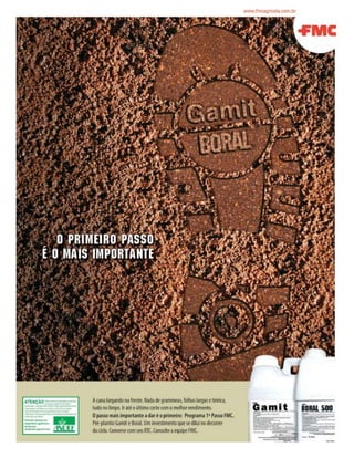 Revista Canavieiros - Agosto de 2007

 