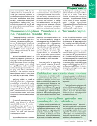 Notícias
Copercana
causar danos superiores a 50% em variedades suscetíveis ou intolerantes. L. xyli
subsp. xyli é transmitida por estacas ou
colmos-sementes provenientes de plantas doentes. A transmissão ocorre quando facões cortam plantas sadias, depois
de utilizados em plantas doentes. Logo,
colhedoras e plantadoras de cana-de-açúcar também são responsáveis pela transmissão desta bactéria.

Como o nome desta doença sugere,
os sintomas externos mais comuns que
ocorrem principalmente em soqueiras,
são: crescimento lento e irregular, encurtamento dos entre-nós e colmos que,
em condições extremas, as plantas
infectadas apresentam com aspecto de
murcha, necrose nas pontas e bordas
das folhas. Internamente, ocorre coloração rosa nos tecidos meristemáticos

de plantas jovens e pontuações ou vírgulas avermelhadas nas regiões inferiores dos nós de plantas adultas. Estes
sintomas, no entanto, não são específicos do RSD, ocorrem também em função de ataques de outros patógenos,
como Fusarium moniliforme,
Colletotrichum falcatum, Xanthomonas
albilineans, X. campestris pv.
vasculorum e Erwinia herbicola.

Termoterapia
Recomendações Técnicas a Termoterapia
Fazenda
na Fazenda Santa Rita
O tratamento térmico na Fazenda Santa Rita é realizado no mês de março, período em que as temperaturas médias do ar e
do solo são ideais para a brotação das
gemas. Entretanto, tal período pode ser
ajustado às condições ambientais das regiões produtoras de cana-de-açúcar, desde que as temperaturas médias do ar não
sejam inferiores a 25°C.
A escolha cuidadosa do material a ser
utilizado no tratamento térmico deve ser
criteriosa, a fim de evitar futuras ocorrências de doenças que não são controladas
pela termoterapia e que possam prejudicar a qualidade das mudas. É utilizado
materiais de áreas provenientes de viveiros que já foram tratados termicamente,
obtendo-se, a cada tratamento, mudas de
melhor qualidade sanitária e a idade média
das mudas deve ser próxima de 10 meses.
A primeira medida a ser tomada, na
seleção de colmos para o tratamento térmico, é efetuar as operações de roguing
nas áreas selecionadas, visando não utilizar variedades e colmos que apresentem
qualquer tipo de doença sistêmica aparente e, também, eliminando-se a possibilidade de misturas varietais, a fim de não
comprometer a qualidade dos viveiros préprimários.
O roguing deve ser rigoroso em variedades que apresentem alguma
suscetibilidade ao vírus do mosaico e
escaldadura, doenças que não são controladas pela termoterapia. As mudas resultantes poderão apresentar estas duas
doenças e, pior, serem fontes de inóculos
às multiplicações futuras.
No corte dos colmos para o tratamen-

to térmico, sem despalha, os facões devem ser desinfetados com solução de
amônia quaternária ou flambados (à fogo)
e carregá-las de modo a evitar danos mecânicos às gemas. Em variedades que apresentem despalha natural, as operações de
corte, carregamento e transporte requerem mais cuidados. Os colmos, após
despalha manual, são fracionados em
toletes de uma ou três gemas, descartando as gemas perfuradas por broca, em início de brotação ou algum outro dano.
Após esta seleção, as gemas isoladas ou toletes de três gemas são acondicionados em sacos de malhas largas
(como os de batata ou amendoim), evitando-se adensamentos, a fim de permi-

tir livre circulação da água entre toletes
ou gemas. De qualquer modo e em função do tamanho do tanque a ser utilizado, é respeitar uma relação mínima de 6
volumes de água para cada volume de
cana.
Na Fazenda Santa Rita o tanque de
tratamento térmico possui maior capacidade (2.000 litros de água), 10 resistências
de 2.500 watts, bomba para circulação forçada de água e painel com termostato para
controle da temperatura. Estes equipamentos permitem utilizar toletes de três gemas,
que são tratados à temperatura de 50,5°C
por duas horas ou à 52°C por 30 minutos.
A operação deste equipamento requer
pessoal bem treinado.

Cuidados no corte das mudas
No momento do corte das mudas,
os instrumentos de corte são
desinfetados para que não haja disseminação de inóculos de doenças para
as áreas comerciais. Presume-se que
touceiras reconhecidamente doentes
tenham sido erradicadas pelo roguing.
Porém, esta isenção de infecção pode
ser aparente, pois algumas touceiras
podem ser portadoras de patógenos,
sem que apresentem sintomas, sendo

fonte de inóculo por ocasião do corte
das mudas. É o que geralmente ocorre
com a transmissão de escaldadura e
raquitismo.
Para esterilizar os equipamentos de
corte, é utilizado uma solução composta por amônia quaternária Chemitec
(cloreto de alquil-dimetil-benzilamônio) a 30% e Killbac (digluconato
de clorhexidina) a 20%.

Considerações gerais na
condução do viveiro
Primeiro, deve-se atentar a todos os
detalhes e recomendações técnicas na
condução de todas as etapas, principalmente quanto ao roguing e desinfecção dos instrumentos de corte, para
que inóculos de doenças não sejam
disseminadas, produzindo e fornecendo-se mudas certificadas. O segundo é

o momento da colheita. Como ideal, a
área deve estar livre de ervas daninhas,
caso contrário será necessário redobrar
as atenções por ocasião do corte e carregamento (se o corte for manual) dos
colmos para não transportar algum
propágulo de planta daninha, quer seja
sementes, rebentos ou estolões.
Revista Canavieiros - Setembro de 2007

13

 